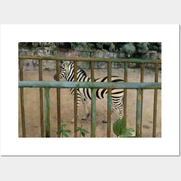 ‘A Desolated Zoo’- Zebra Wall Art by huabuwan1